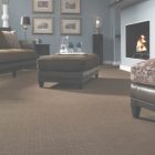 Living Room Carpet Color Ideas