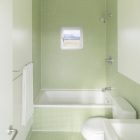 Bathroom Ideas Green And White