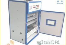 Used Cabinet Incubator For Sale