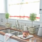 Kitchen Counter Display Ideas