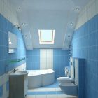 Bathroom Ideas Blue And White