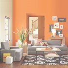 Orange Living Rooms Ideas