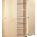 Storage Cabinet With Doors And Shelves