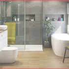 Small Bathroom Design Ideas India