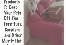 Products To Keep Pets Off Furniture