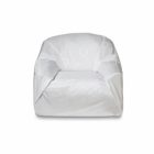 Bed Bug Furniture Covers