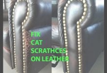 Leather Furniture Scratch Repair