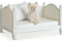 Furniture Style Dog Beds