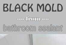 How To Clean Mold In Bathroom