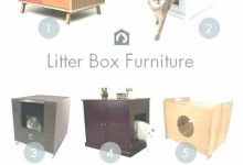 Litter Boxes That Look Like Furniture