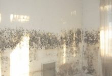 How To Stop Mould In Bedroom