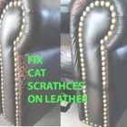 Cats And Leather Furniture