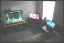 Small Fish Tank In Bedroom
