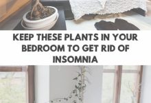 Things To Get Rid Of In Your Bedroom