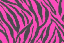 Pink Zebra Wallpaper For Bedrooms