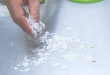 Flour Mites In Bedroom