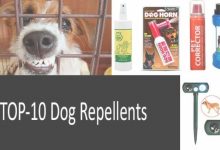 Homemade Dog Repellent Spray For Furniture