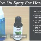 Tea Tree Oil Spray For Lice On Furniture