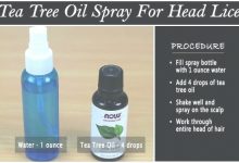 Tea Tree Oil Spray For Lice On Furniture