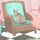 Spray To Keep Pets Off Furniture