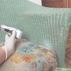 Bed Bugs In Furniture How To Check