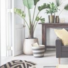 Living Room Plant Decor