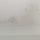Black Mold In Bathroom Ceiling