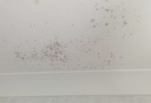 Black Mold In Bathroom Ceiling