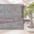 Benefits Of Having Plants In Your Bedroom