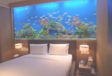 Fish Tank Bedroom Wall
