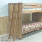 Cargo Furniture Bunk Beds