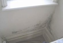 Damp In Corner Of Bedroom Wall