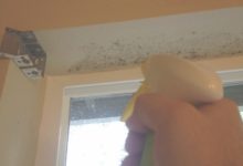 How To Clean Mold Off Bedroom Walls
