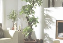 Decorative Trees For Living Room