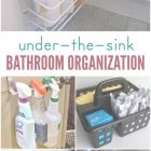 Under Bathroom Sink Organization Ideas