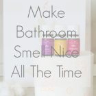 Best Air Freshener For Bathroom