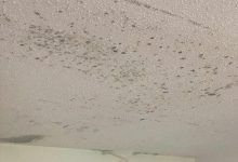 Mold In Bedroom Symptoms