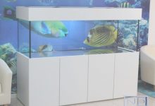 Tropical Fish Tanks With Cabinets