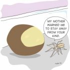 How To Keep Spiders Out Of Your Bedroom