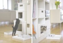 Best Furniture For Cats