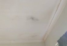 Mold On Ceiling In Bedroom
