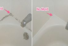 How To Remove Mold From Bathroom