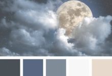 Best Shade Of Blue For Bedroom With Night Sky Theme