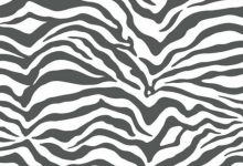 Zebra Print Wallpaper For Bedrooms