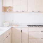 Kitchen Plywood Cabinets