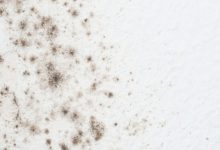 How To Get Rid Of Mold On Walls In Bedroom