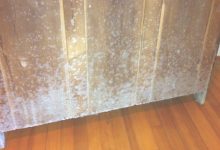 What Causes Mold On Furniture