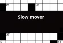 Furniture Mover Crossword Clue