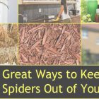 Keep Spiders Out Of Bedroom