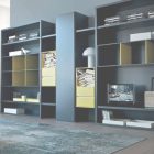 Modular Cabinets Living Room